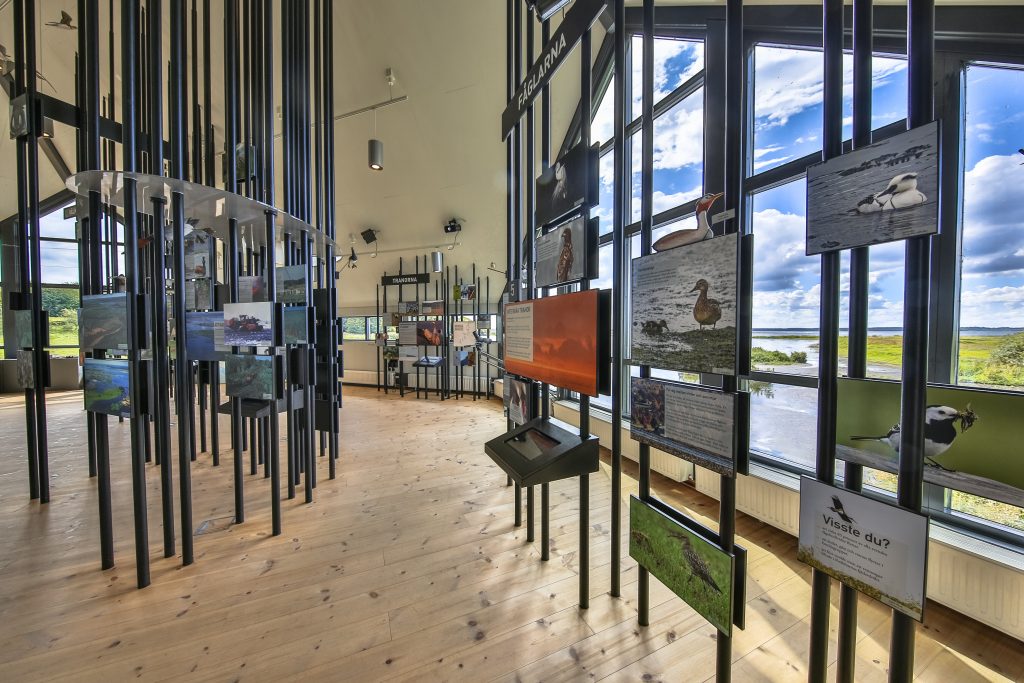 Museums In Reykjavik

